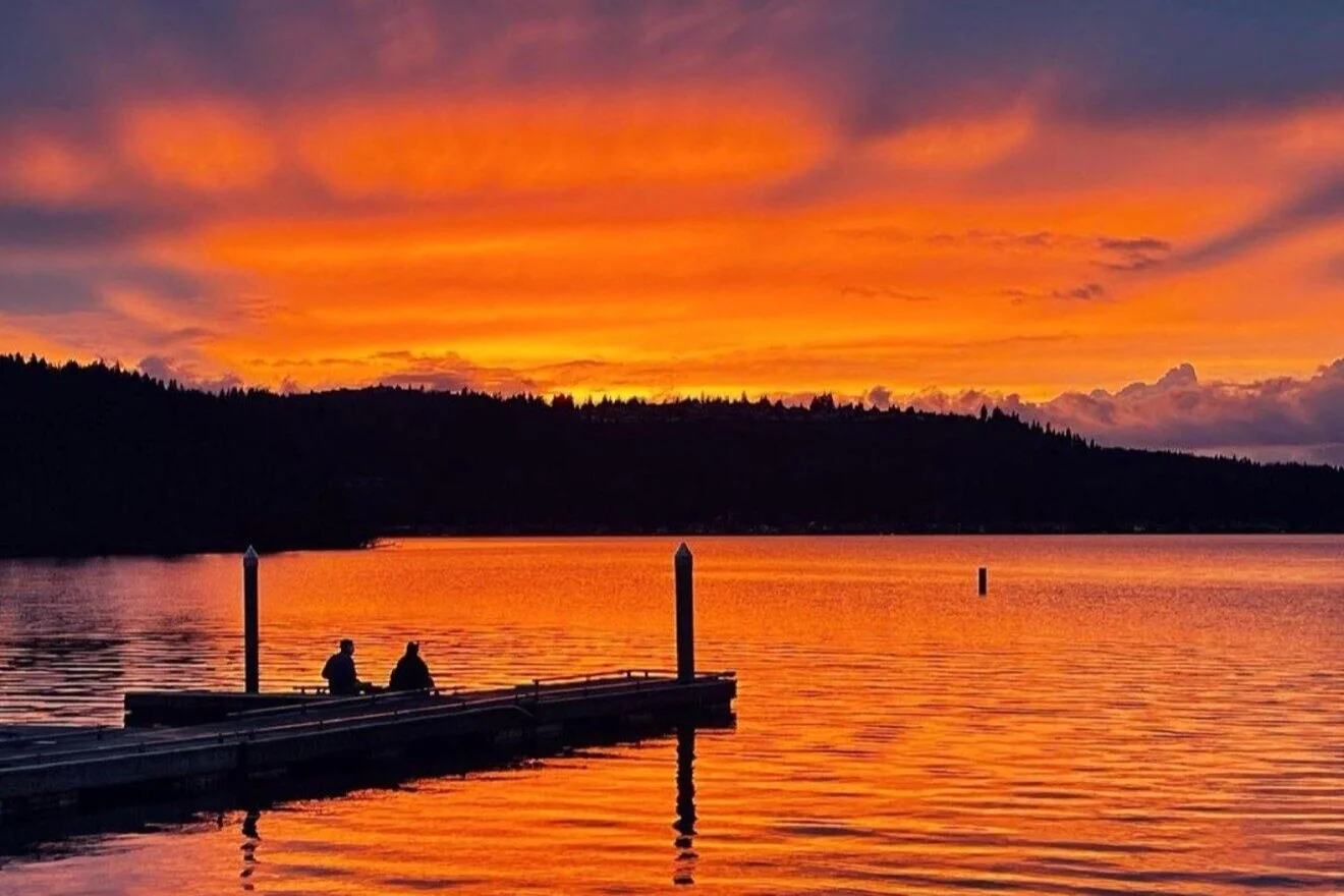 Friends of Lake Sammamish State Park Website Support, Enhance and