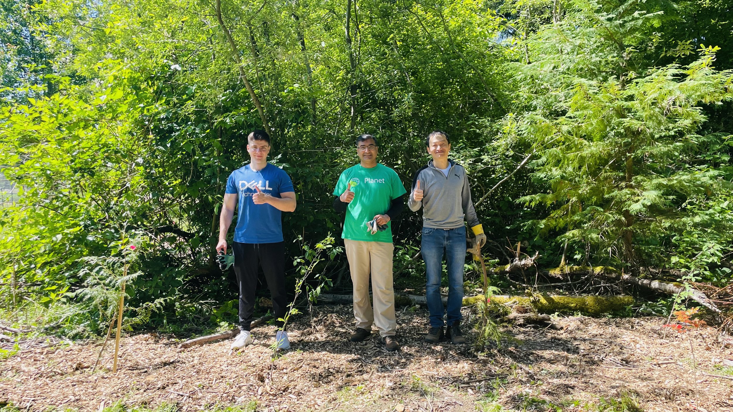 March 2024 Restoration Event