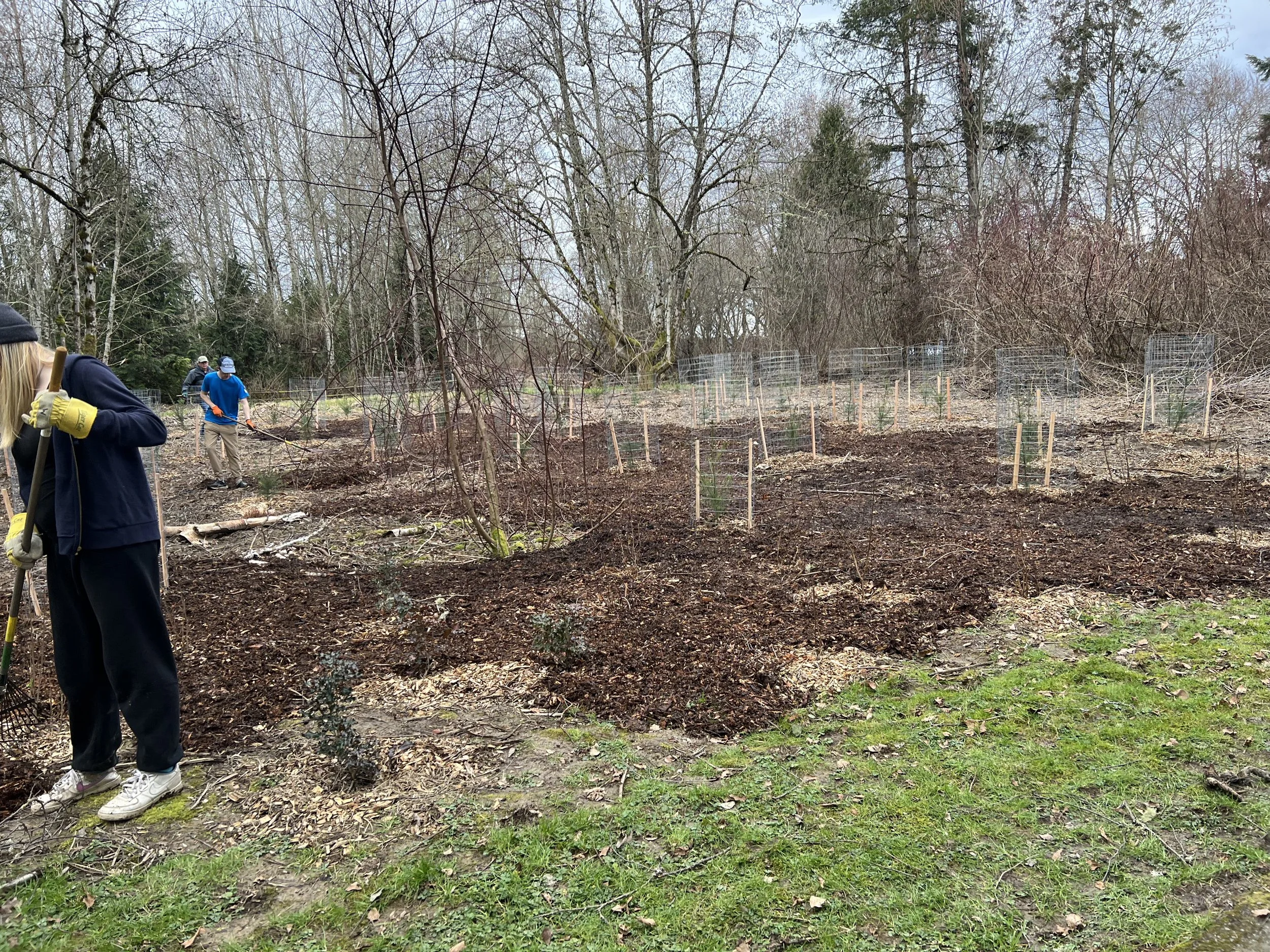 April 2024 Restoration Event