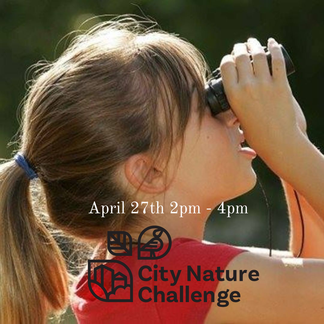 City Nature Challenge