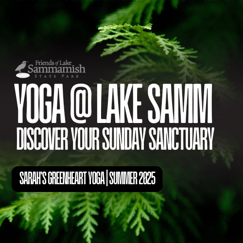 Yoga June 22