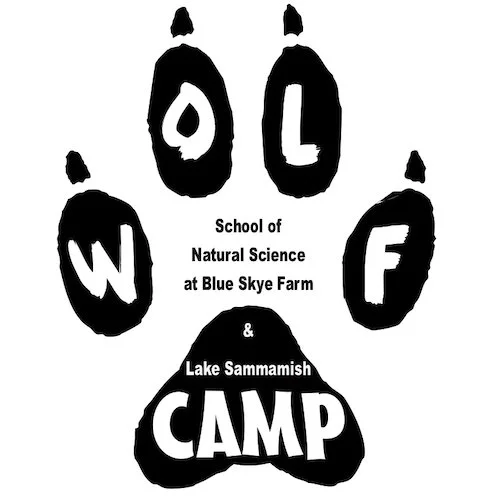 wolfcamp.jpeg