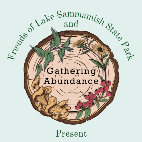 Gathering Abundance Series: Balm of Gilead