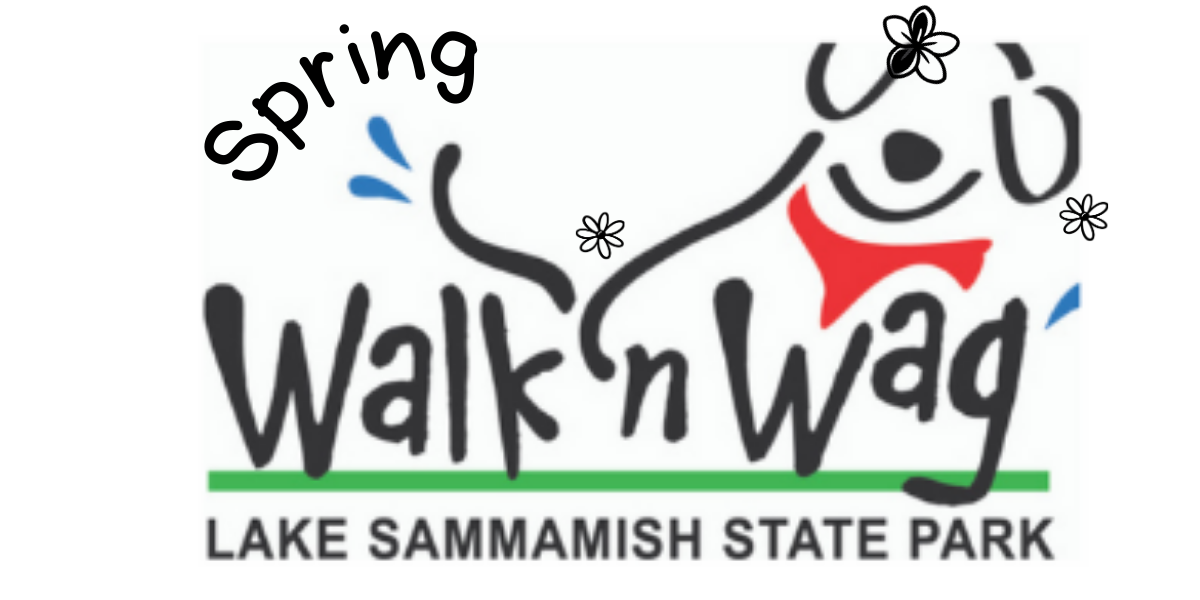 Spring Walk n Wag