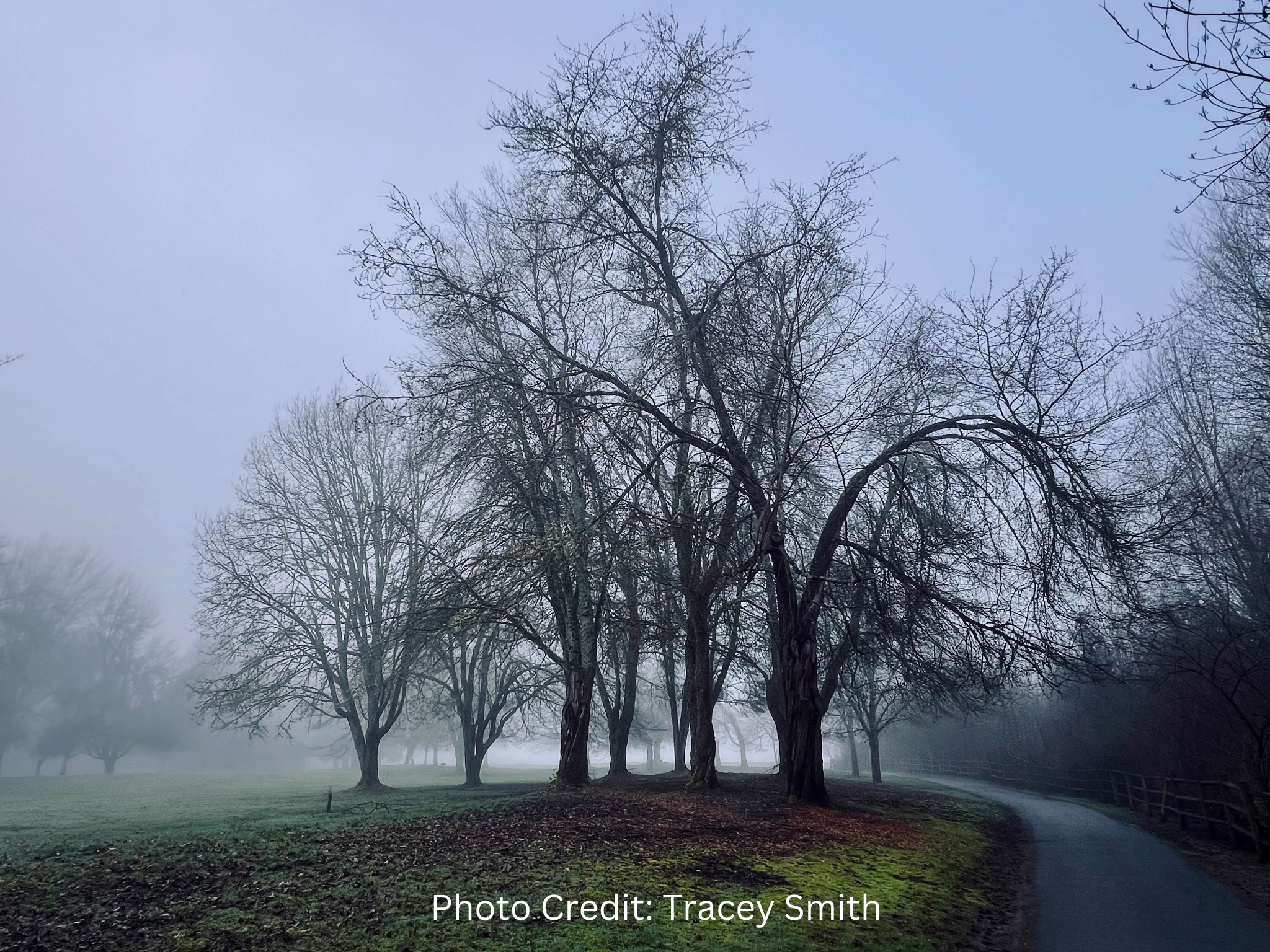 Come On Out to the Park