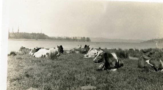 120974823_1462093953988492_1210096762094251172_n_1462093950655159 (2).png