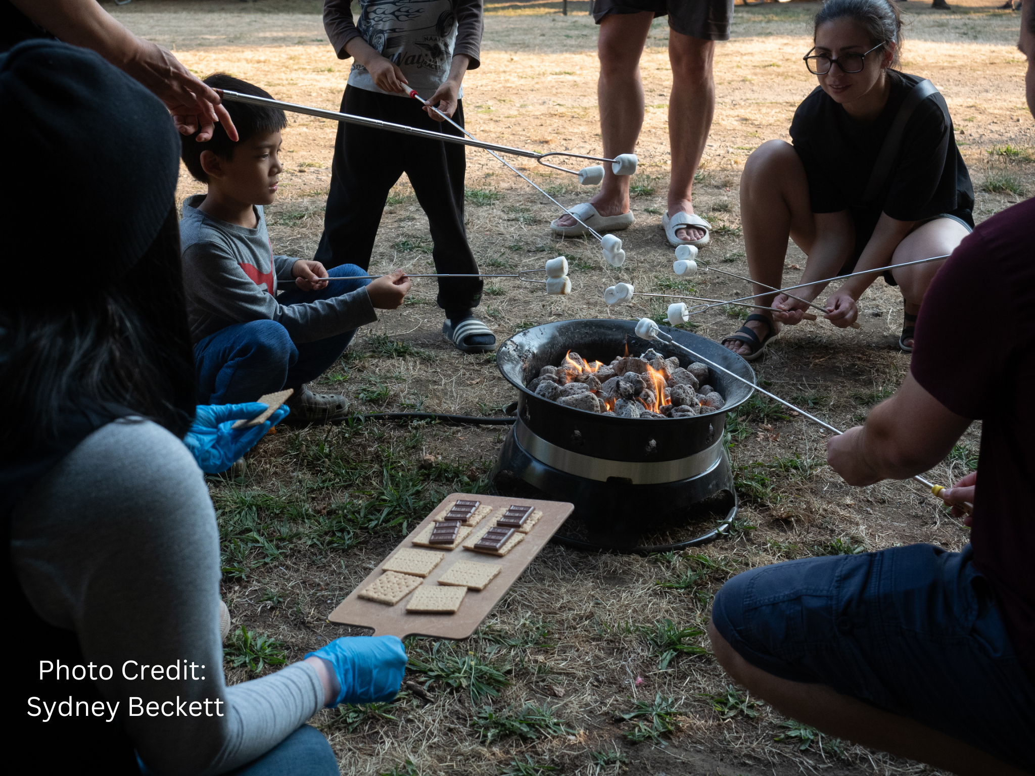 Summer fun at Lake Sammamish State Park