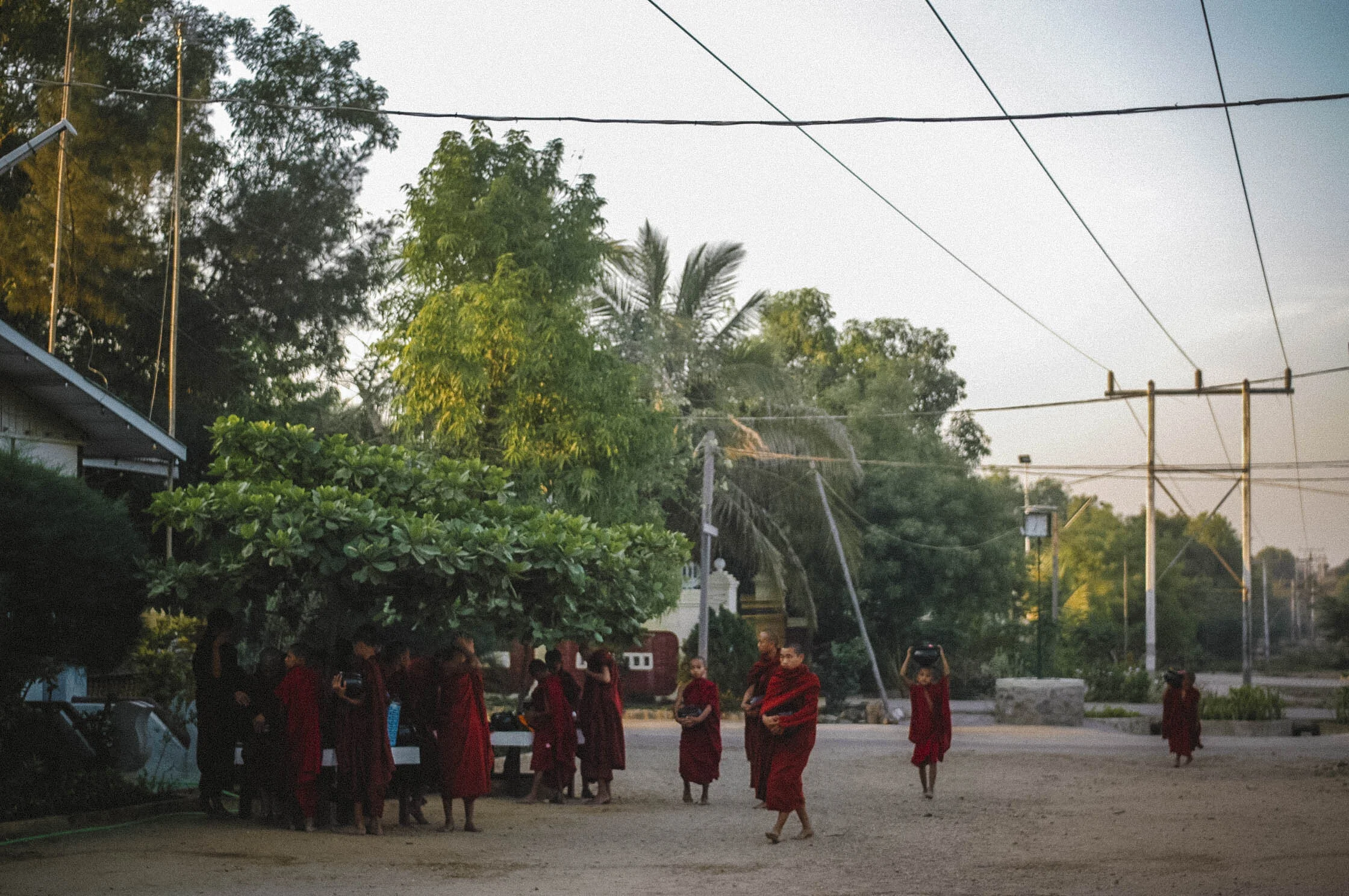 DSC_2922.jpg