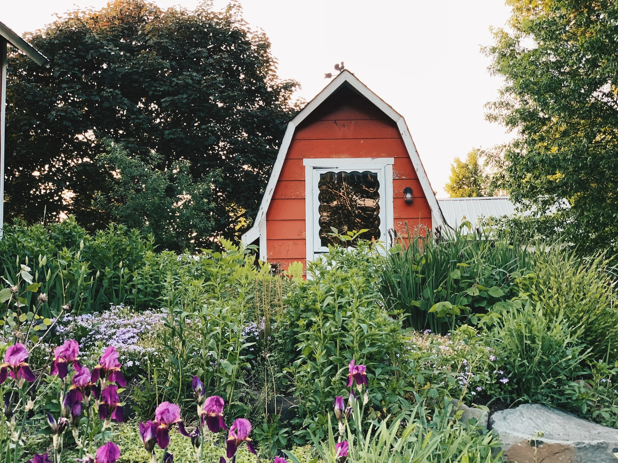 We Bought a Zoo Part Two