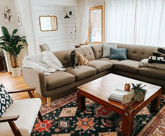 Can you spot the 3 kitty nuggets in this pic?? They are my light during these long busy days ❤️😽