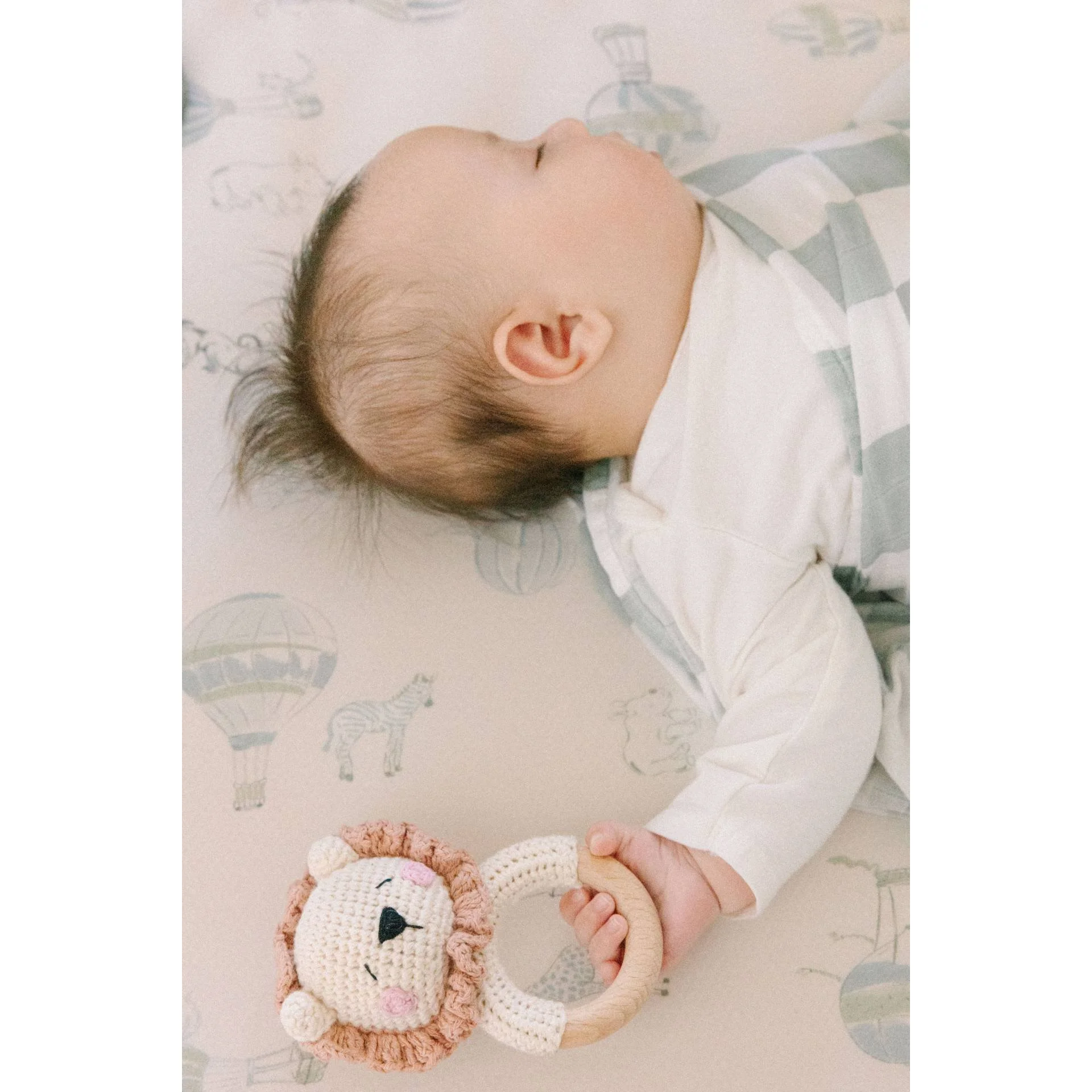 lion-rattle-2.jpg