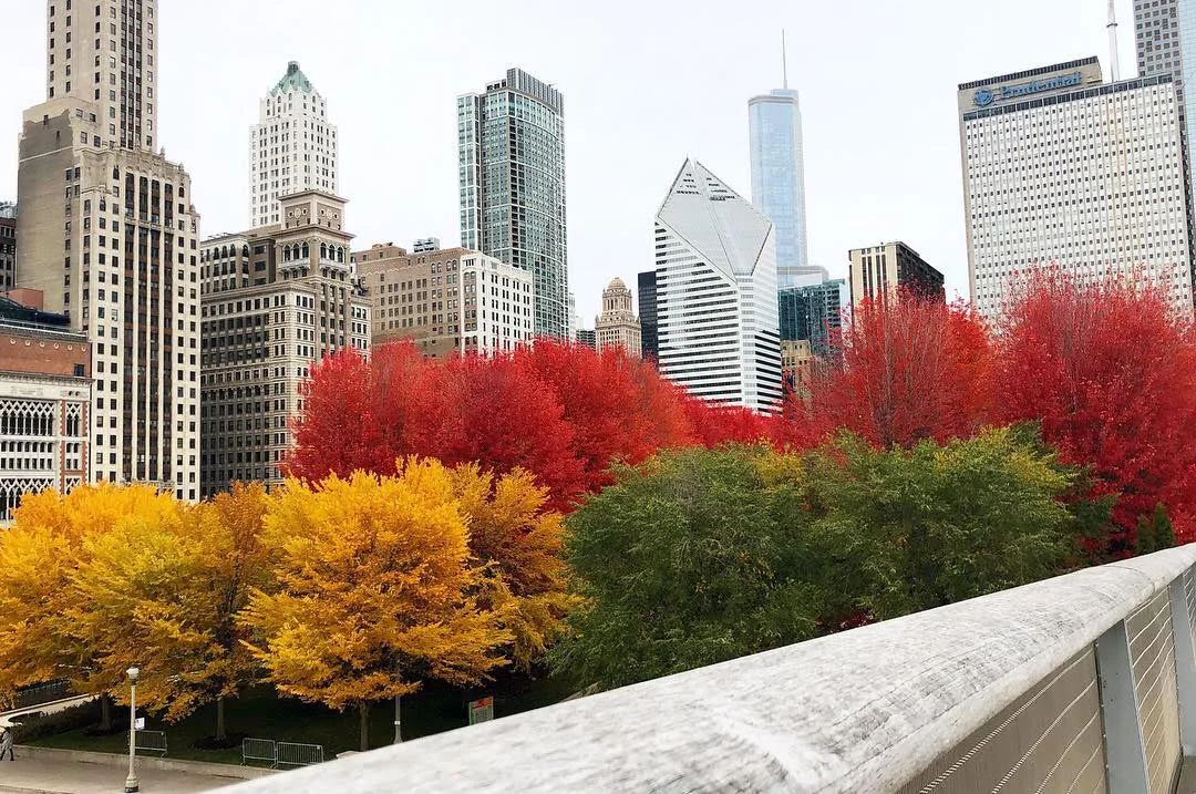 fall #64.jpg