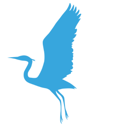 BirdHollow-Logo-small-whiteAndBlue.png