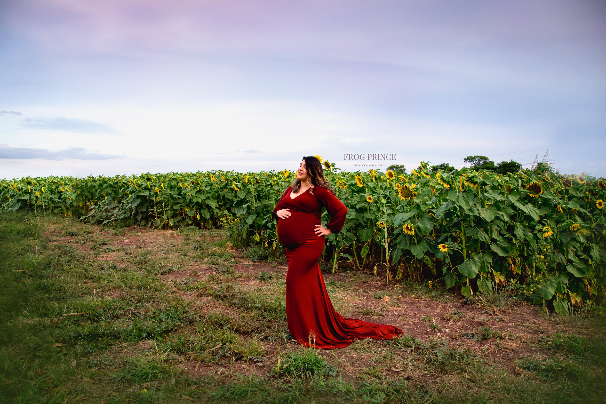 red sunflowers maternity photography in san antonio