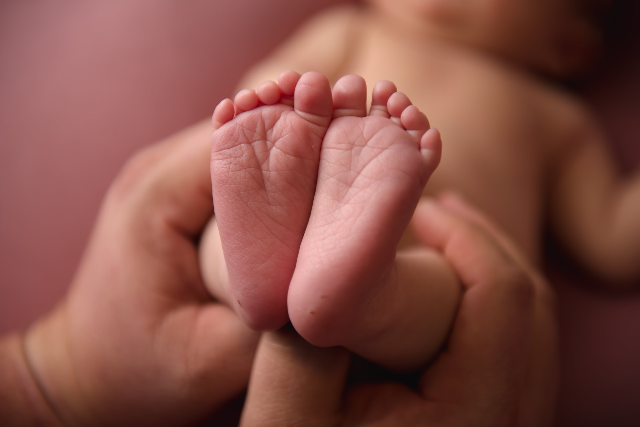 newborn session feet photography studio in san antonio