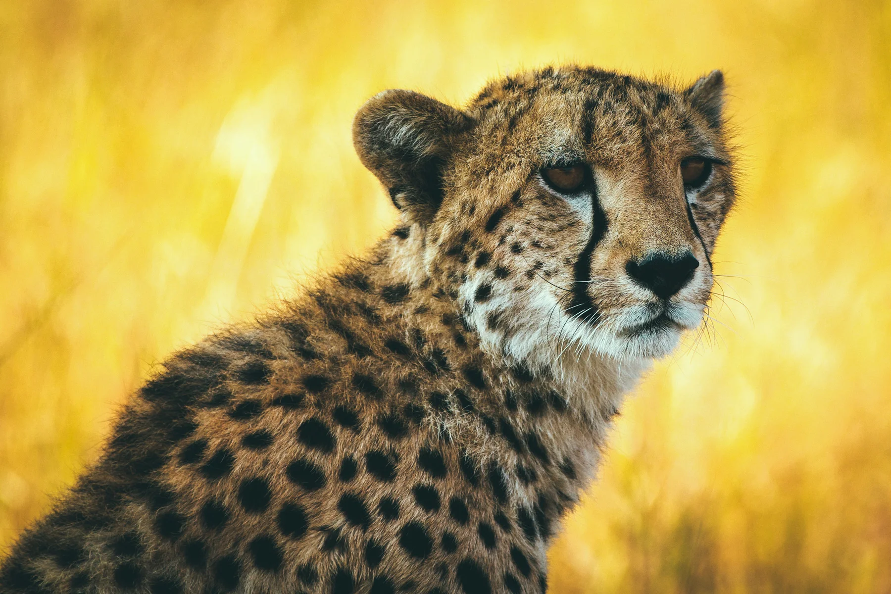 Tanzania-389.jpg