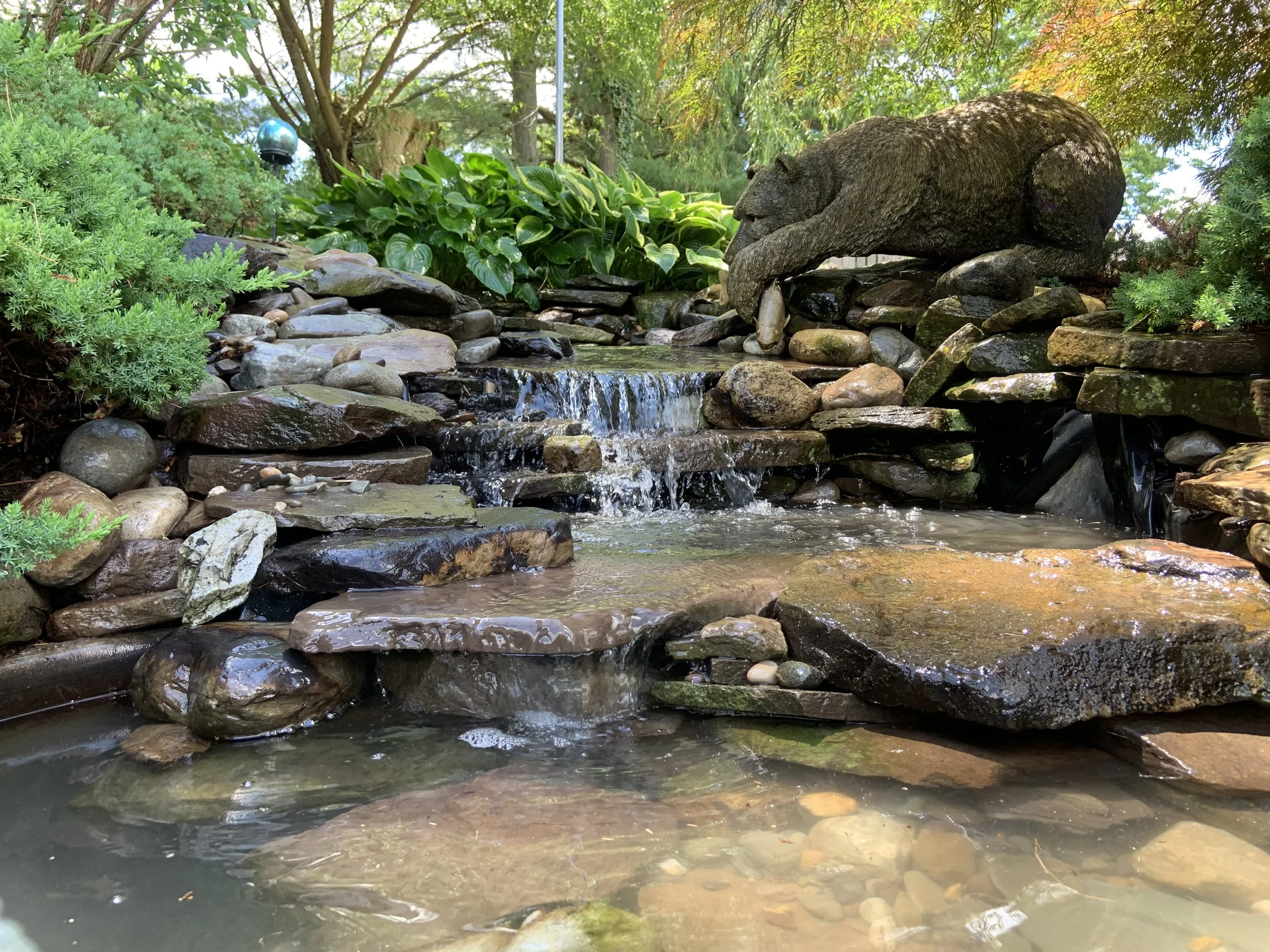 IMG_3926.jpeg