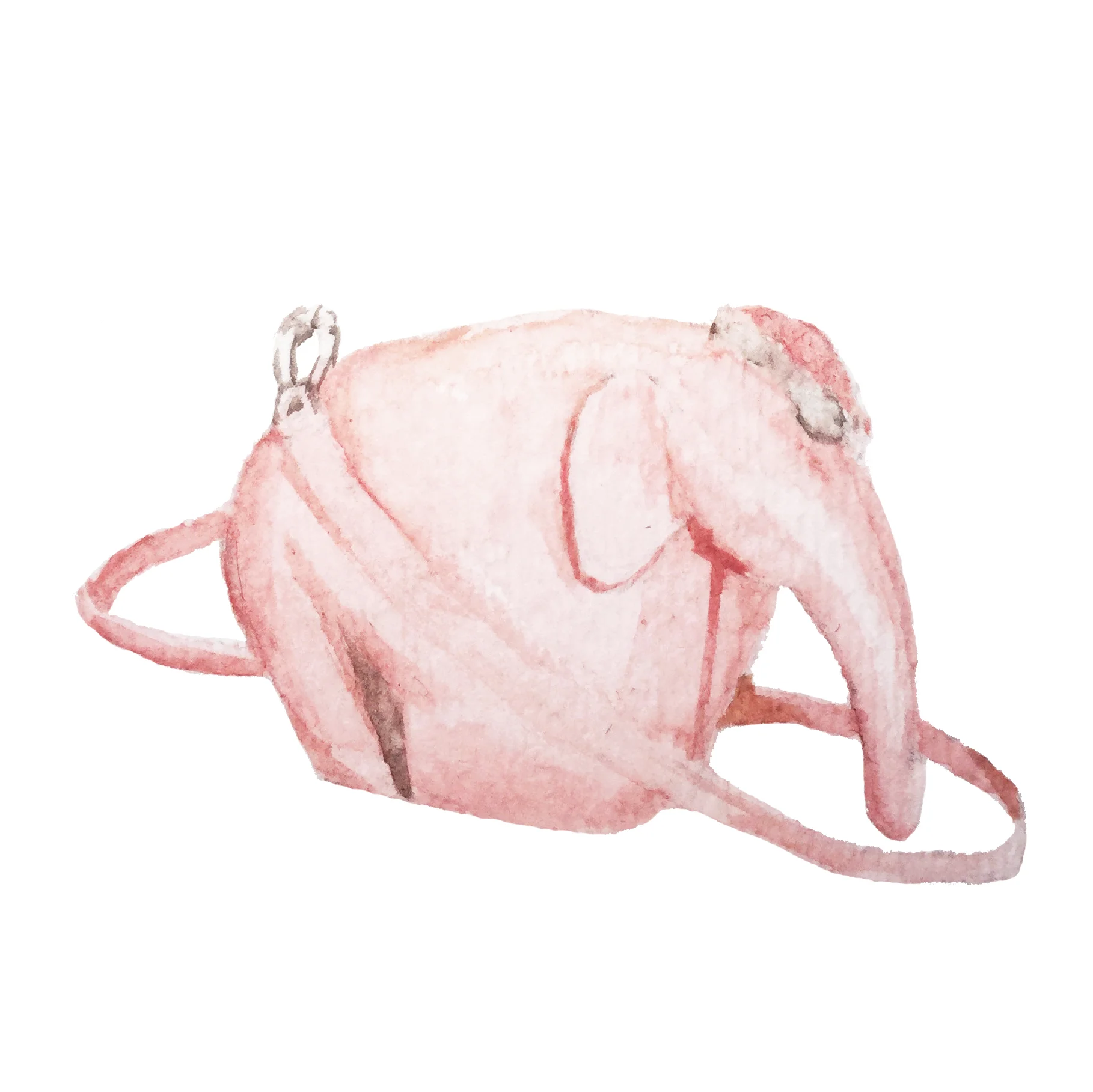 loewe_elephant.jpg