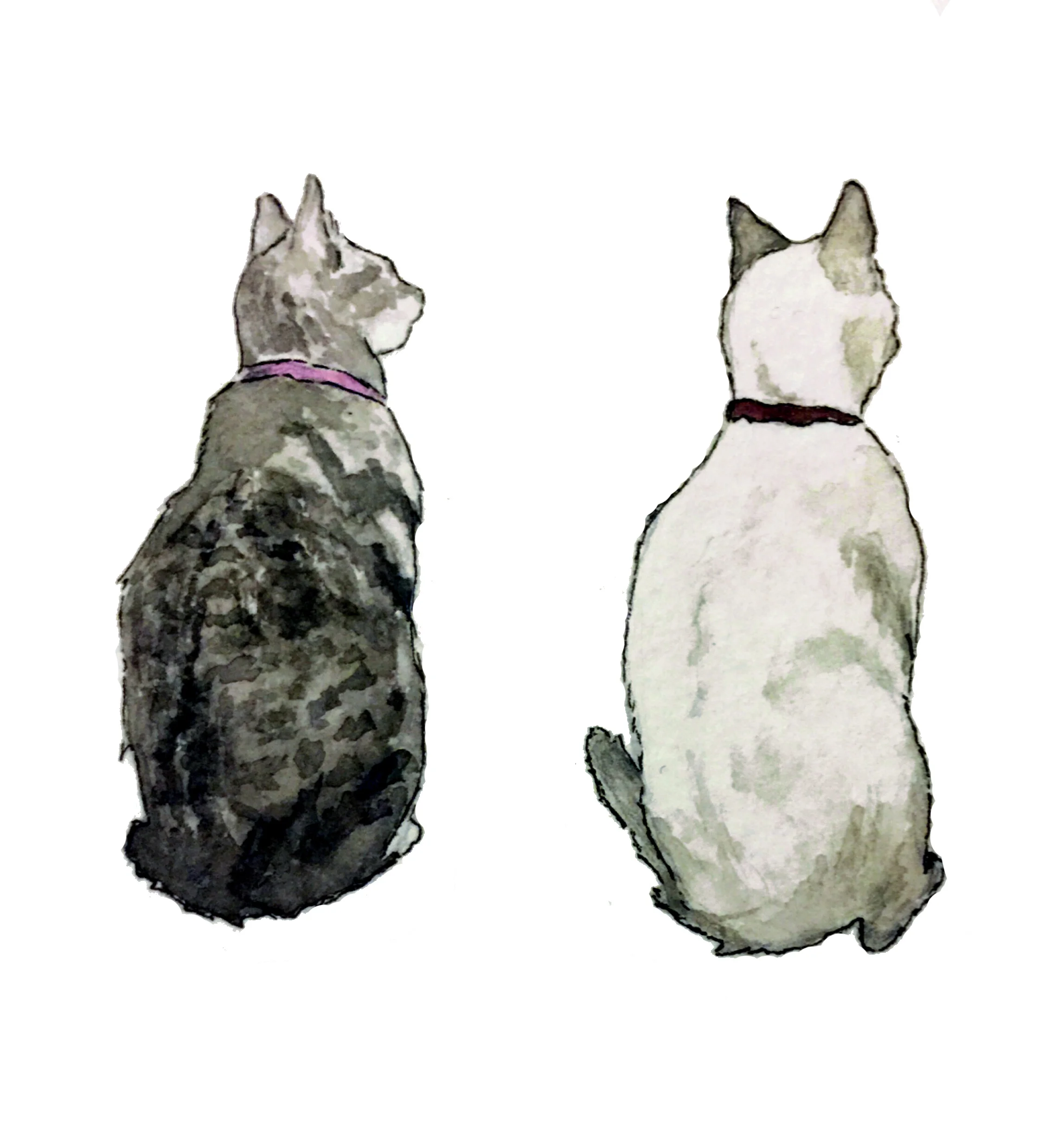 kitties.jpg