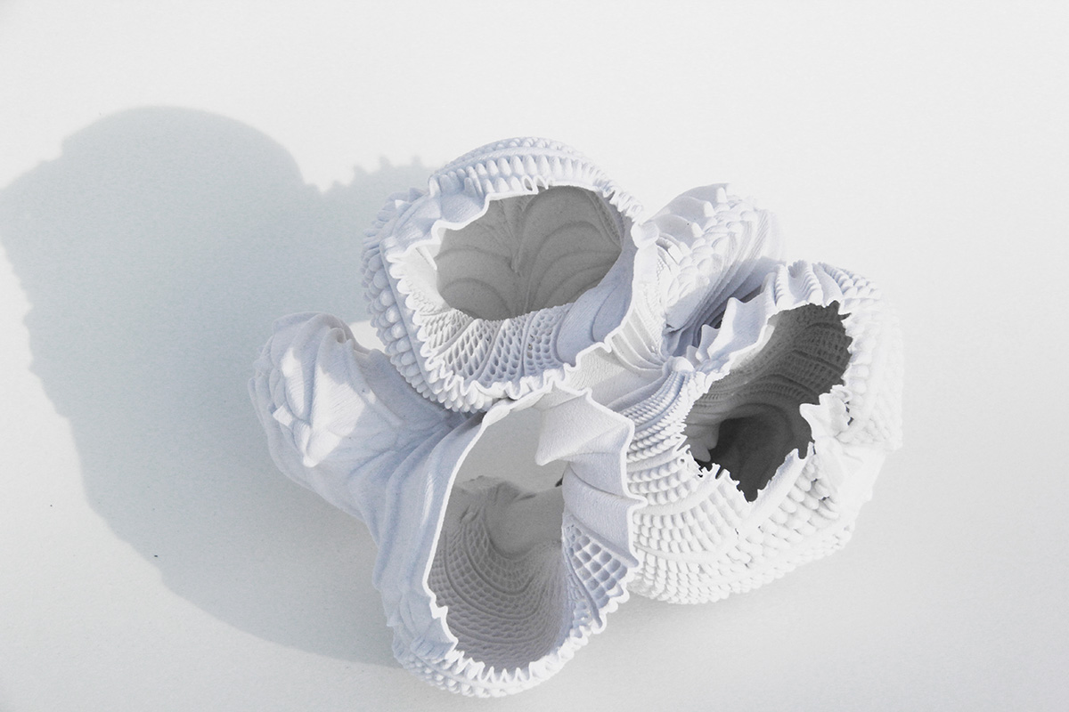photo of physical model _01