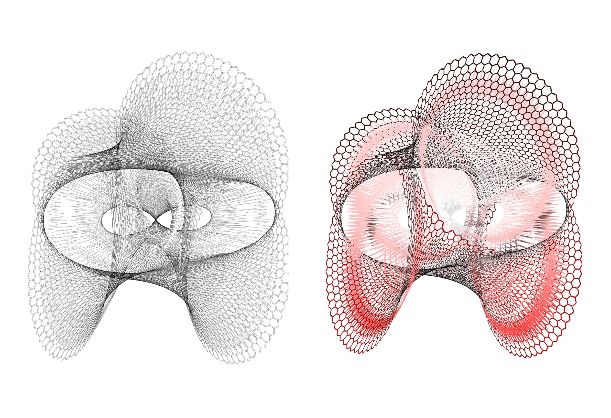 Grasshopper kangaroo