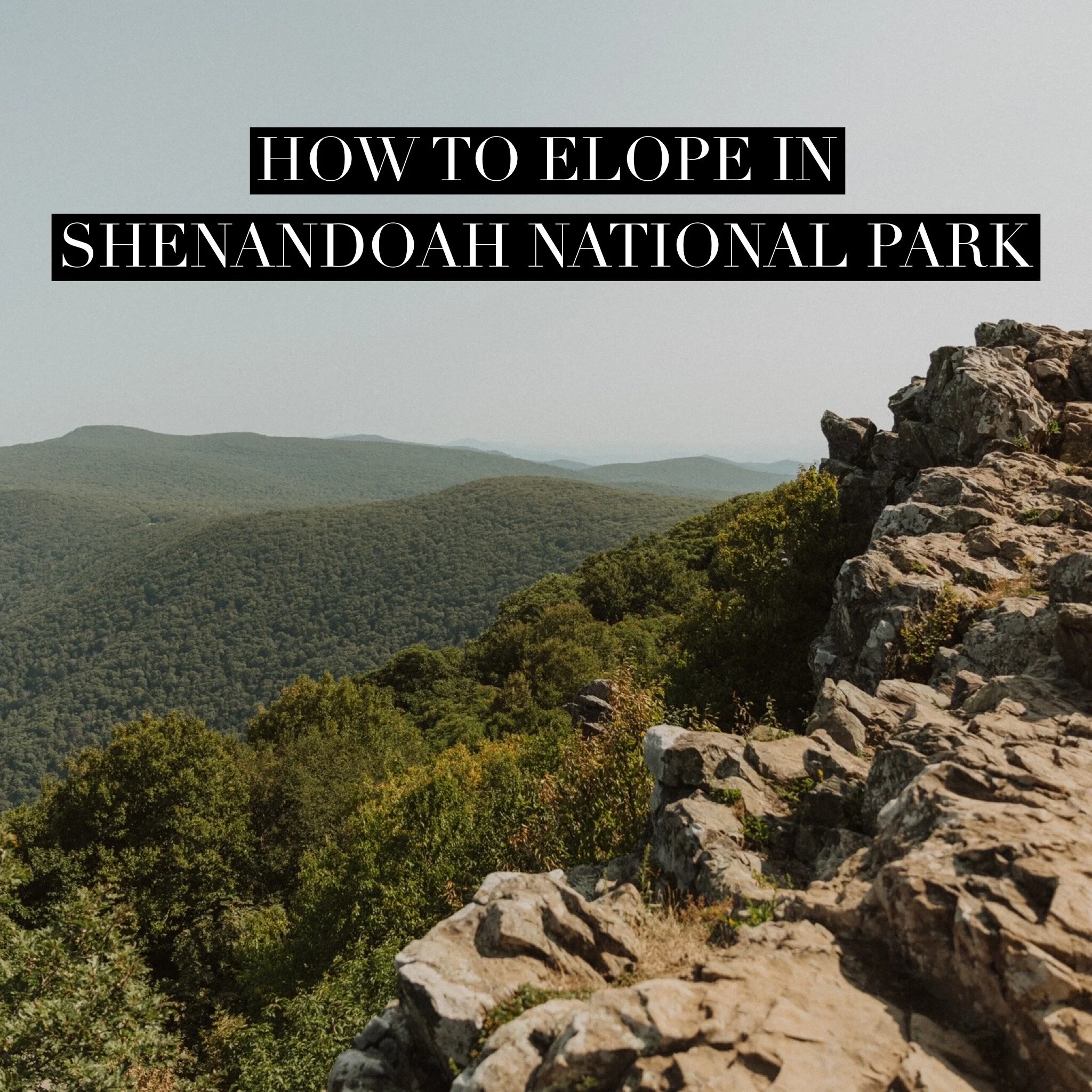 How to Elope in Shenandoah National Park