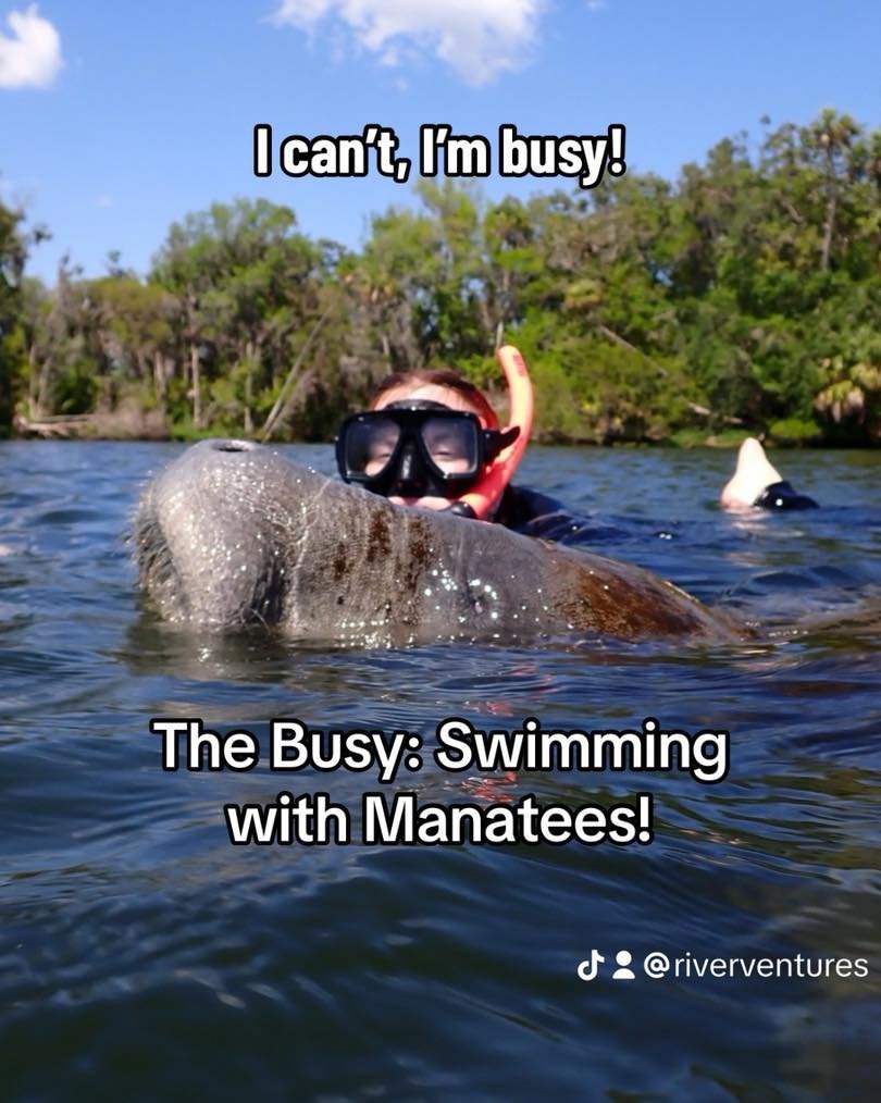 Sorry, I can&rsquo;t; I&rsquo;m too busy swimming with manatees! 

#swimwithmanatees #AdventureTime #manatees #adventure #outdoors #swimwithmanatees #vacation