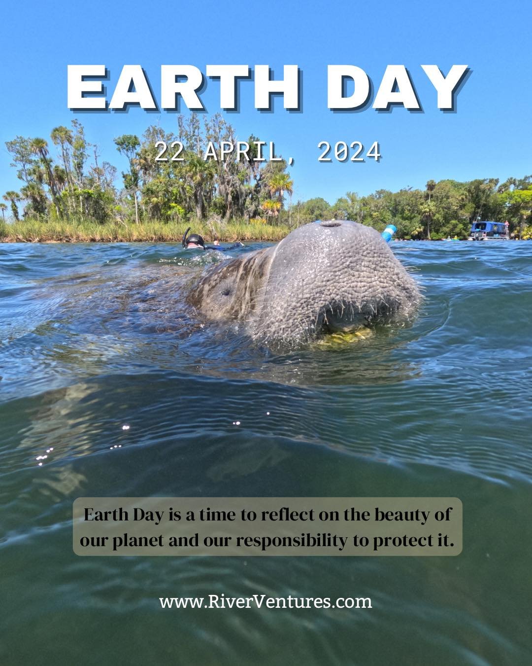 🌍🌊 Happy Earth Day! 🌊🌍 Let's take a moment to appreciate the beauty of our planet and all its magnificent creatures. Today (and every day at River Ventures), we&rsquo;re highlighting the gentle giants of Crystal River, Florida - the adorable mana