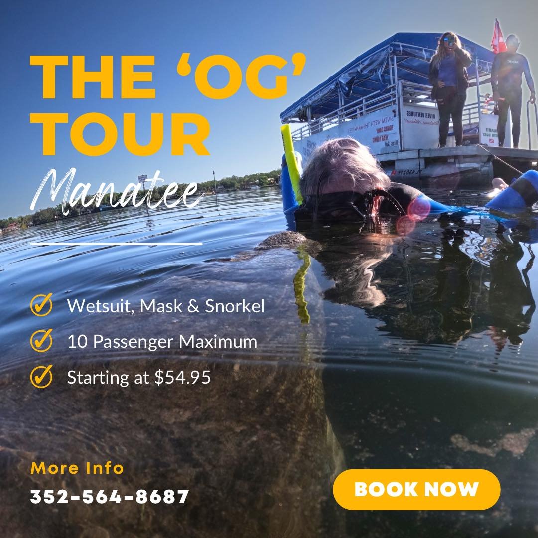 Dive into an unforgettable adventure with River Ventures! 

Ready to make some fin-tastic memories? Book your spot now for the OG swim with the manatee tour at River Ventures! 🌟 

Immerse yourself in the beauty of these gentle giants and create memo