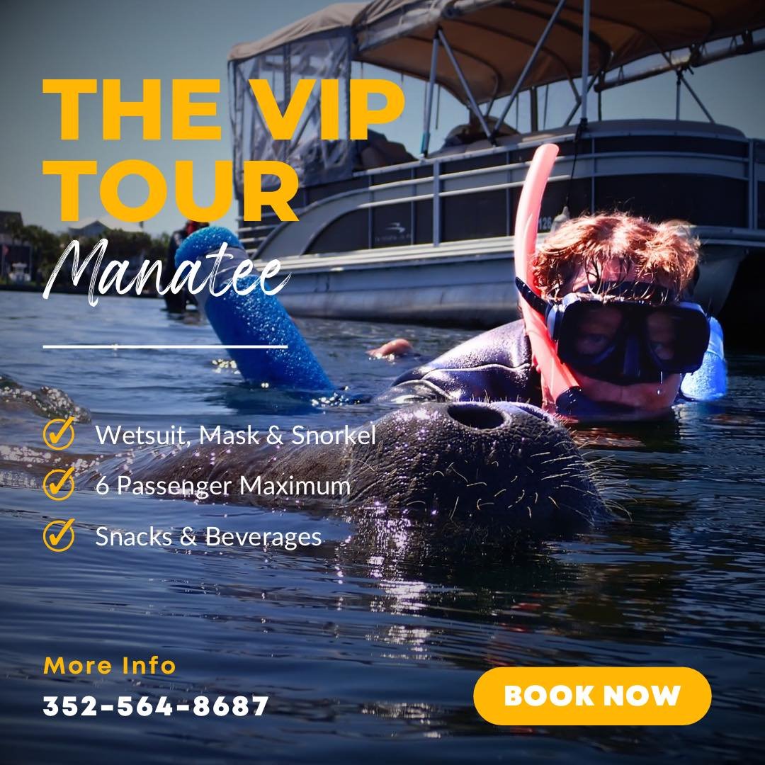 Dive into luxury with our VIP experience at River Ventures!

Looking for a truly unforgettable adventure? Upgrade to our VIP experience and enjoy exclusive perks! 🐋💦 Get up close and personal with the manatees on a semi-private tour with a certifie