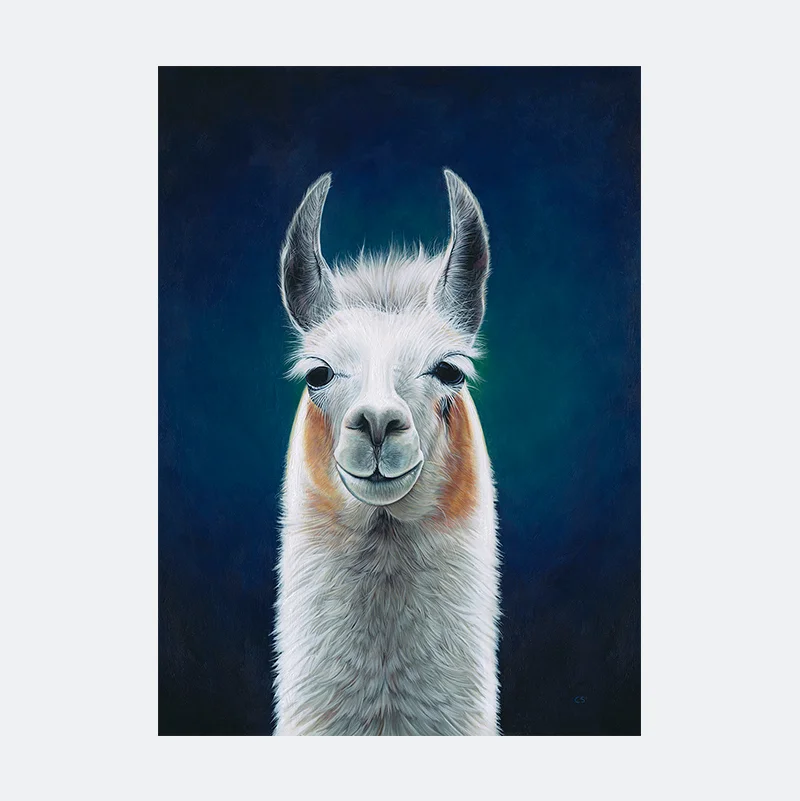 Ilama-print.jpg