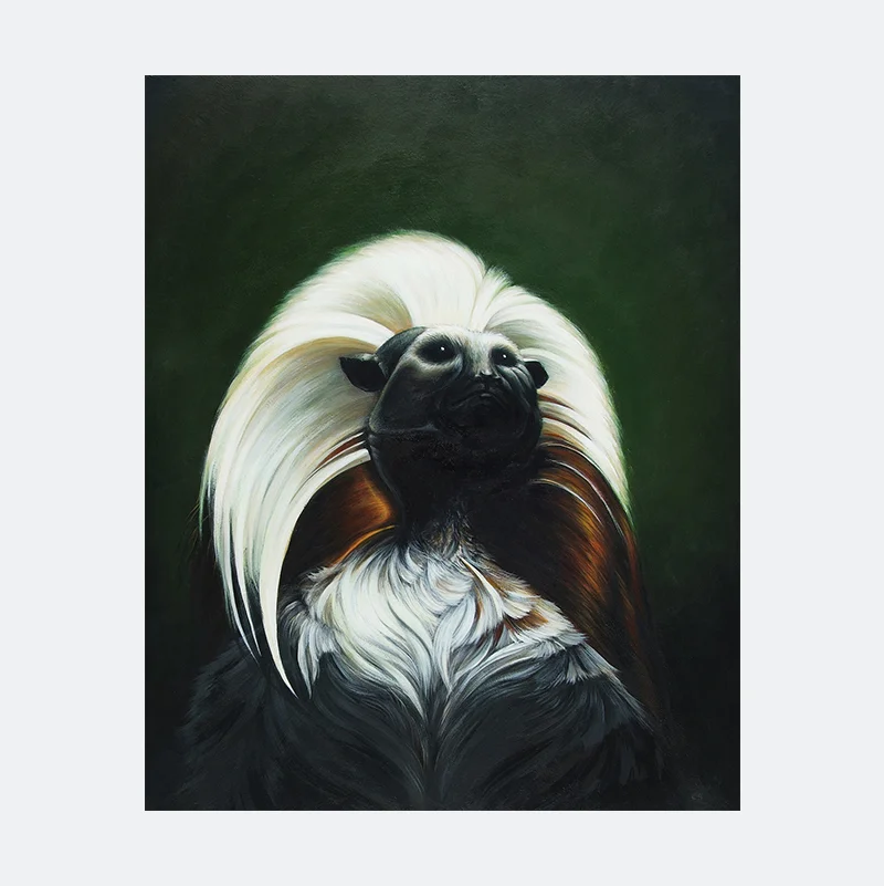 Tamarin-print.jpg