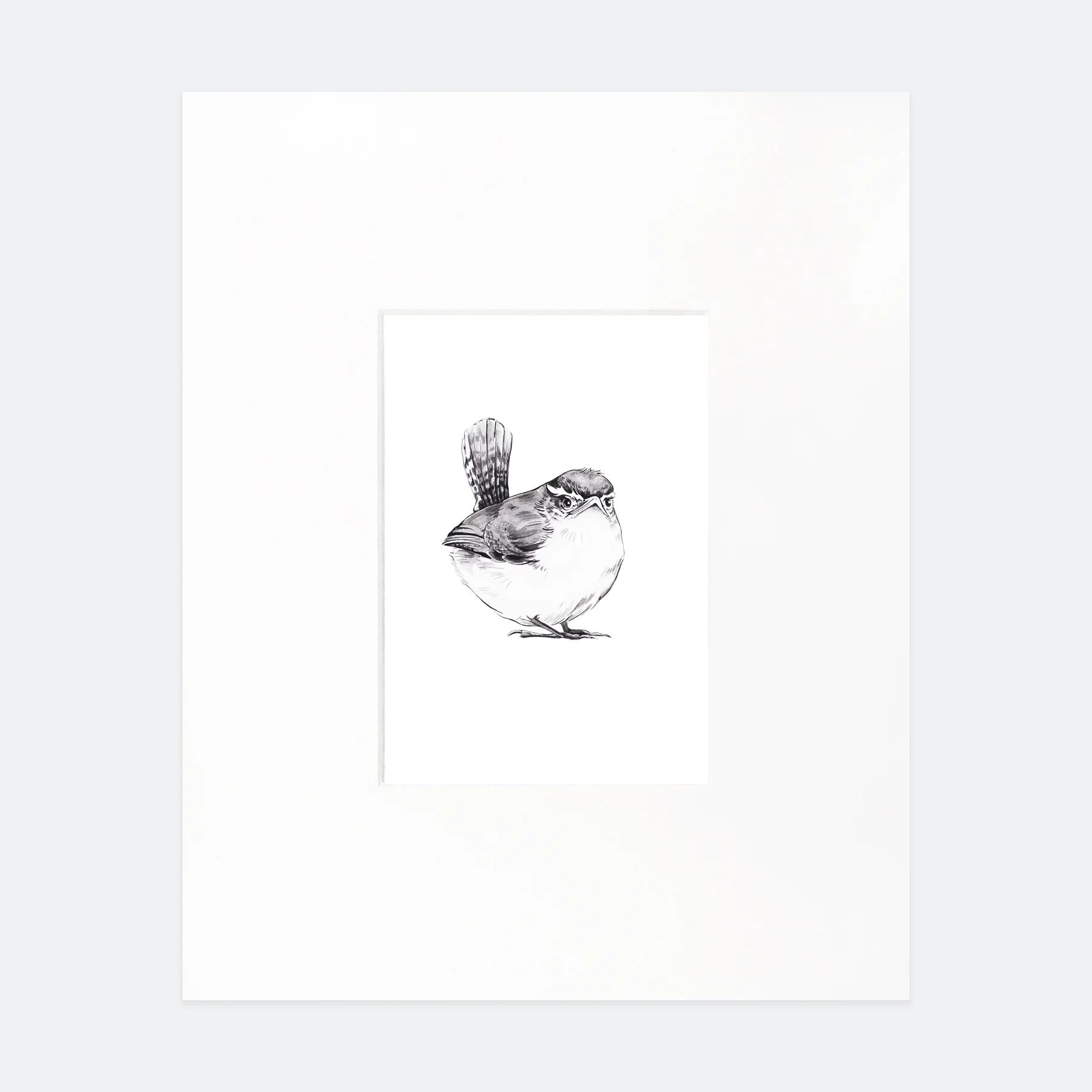 carolina-wren-print-ffcollection.jpg