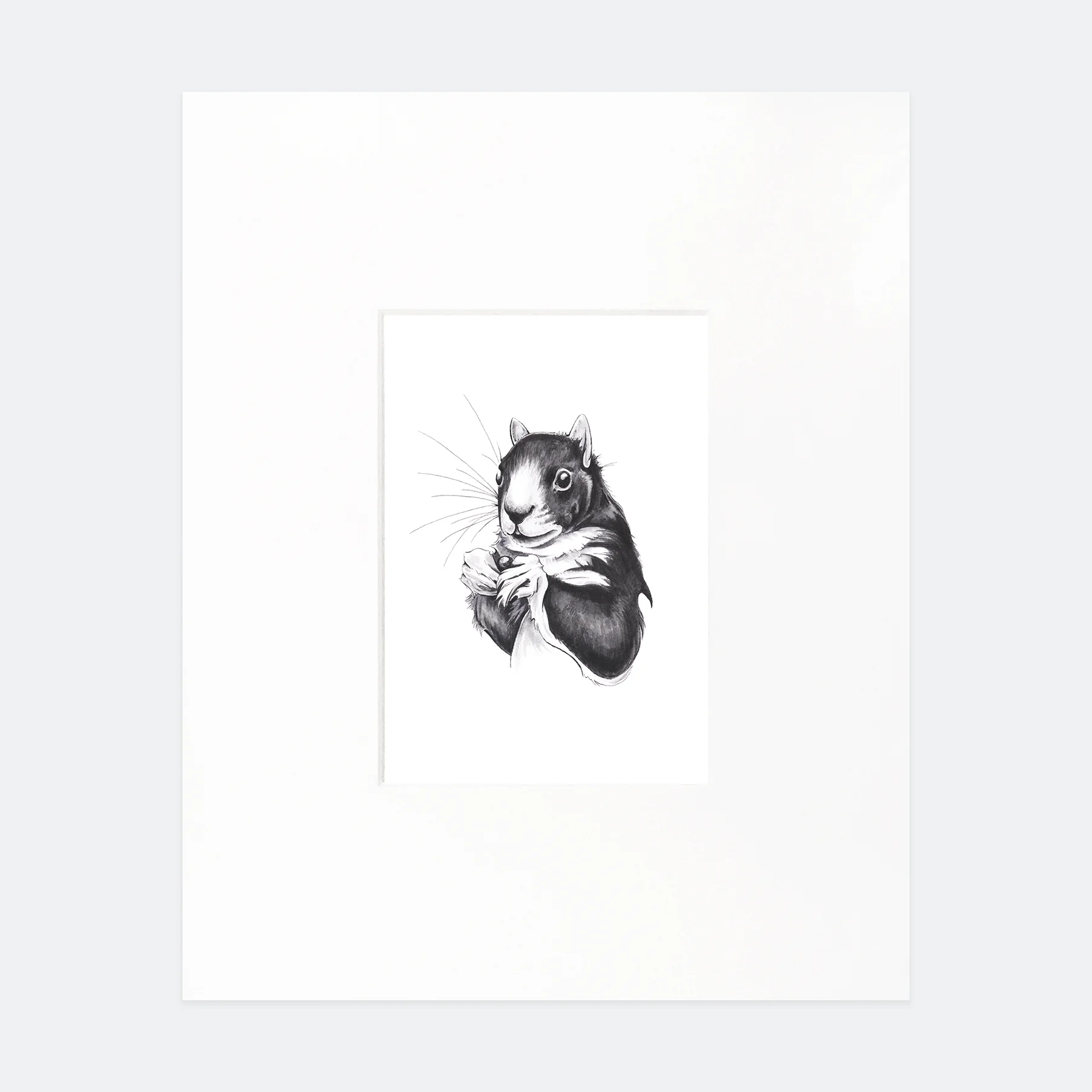 shermans-fox-squirrel-portrait-print-ffcollection.jpg