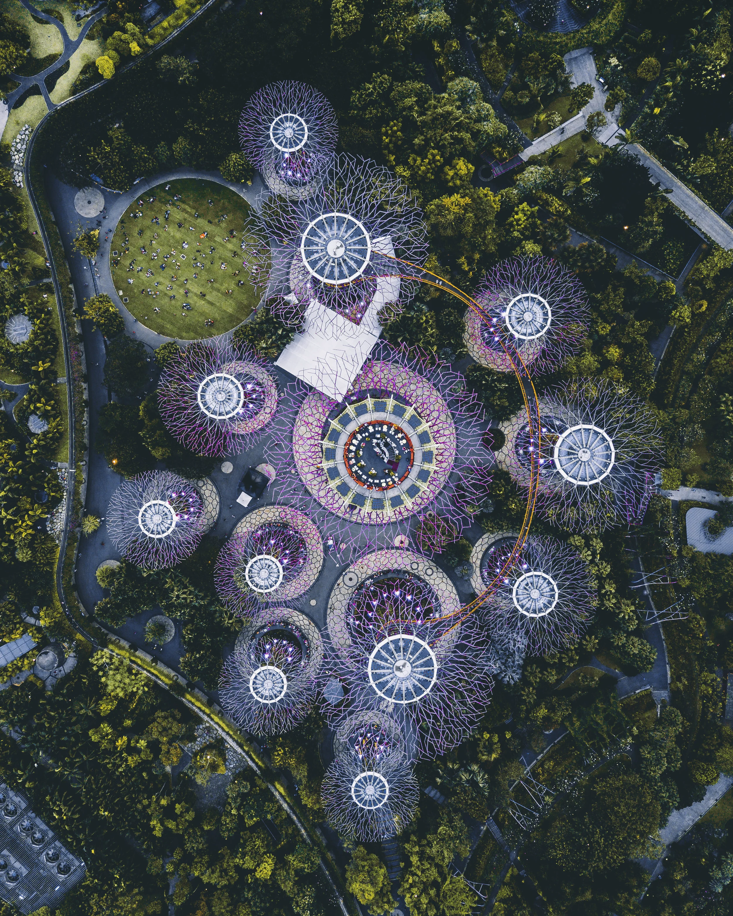 Super Trees Lookdown Color - SG.jpg