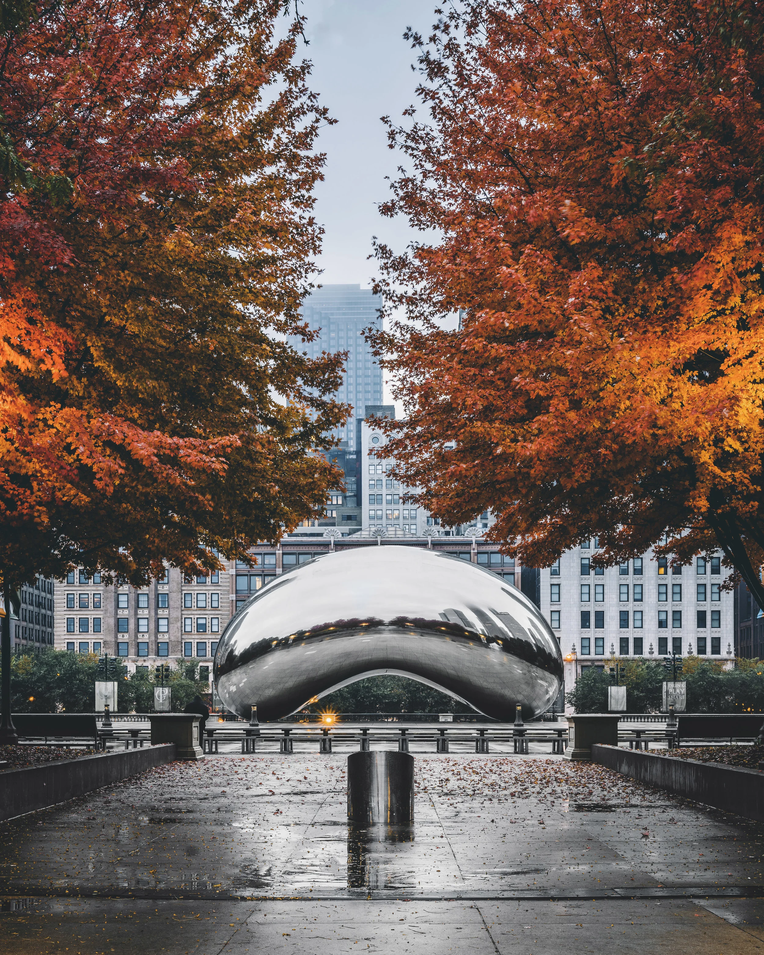 Fall Time Bean - Chi.jpg