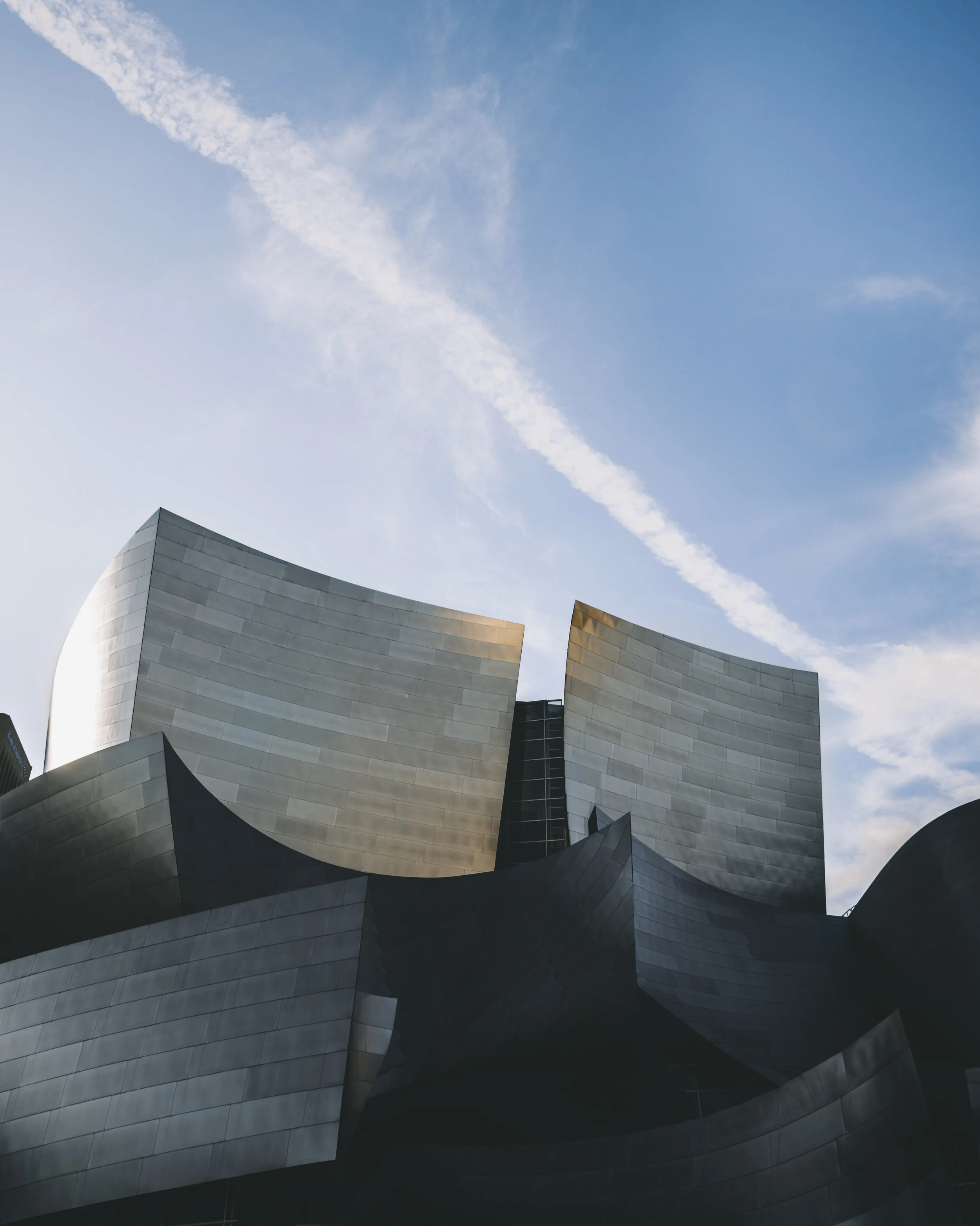 Walt Disney Hall - LA.jpg