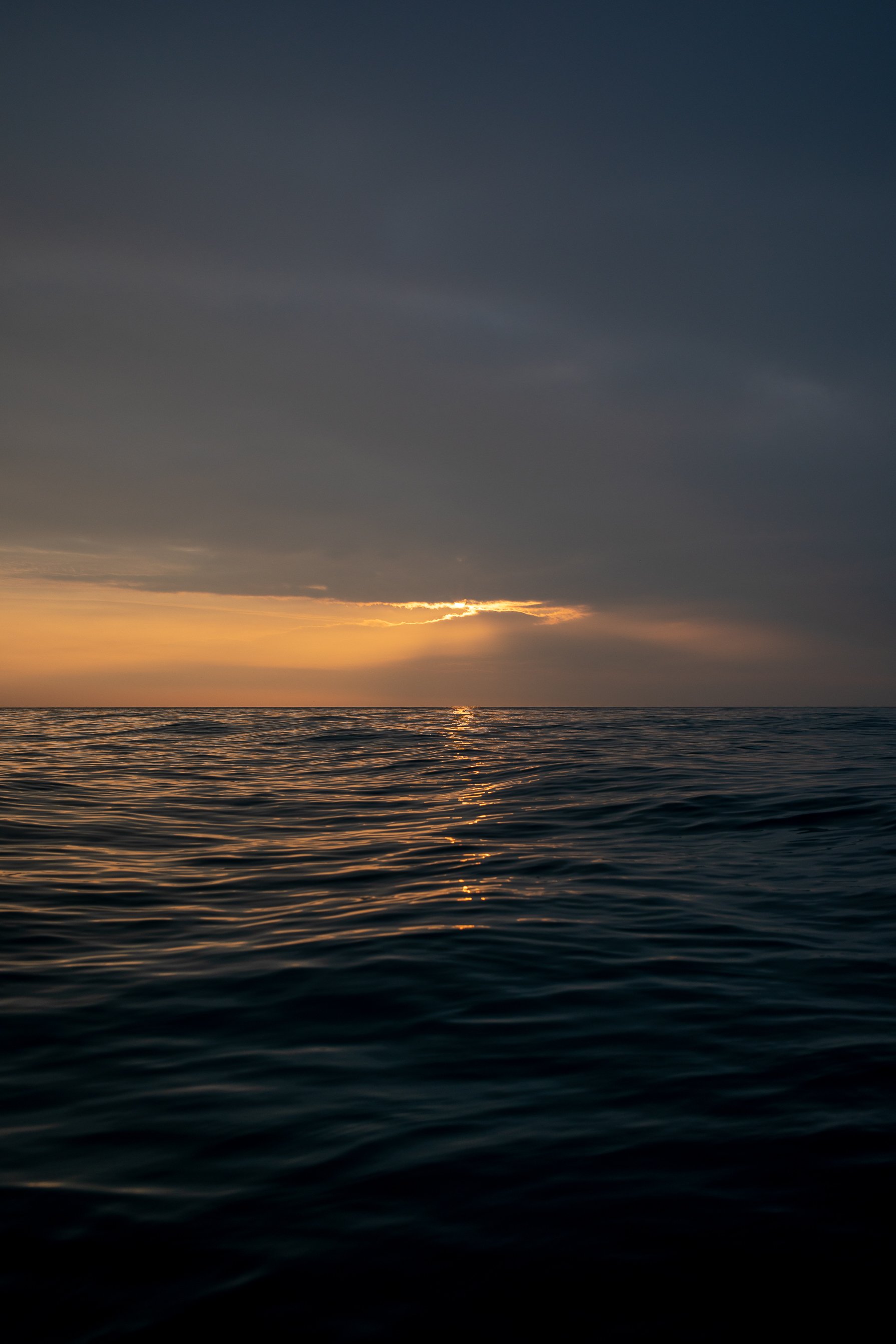 167A5856.jpg