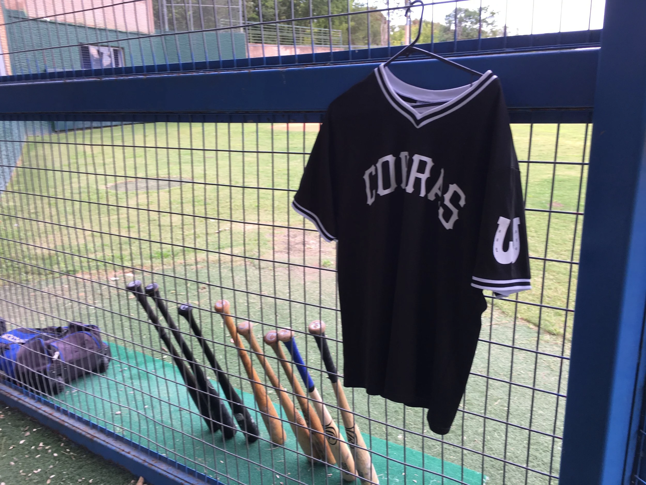 Cobras SCenic Dugout.jpg