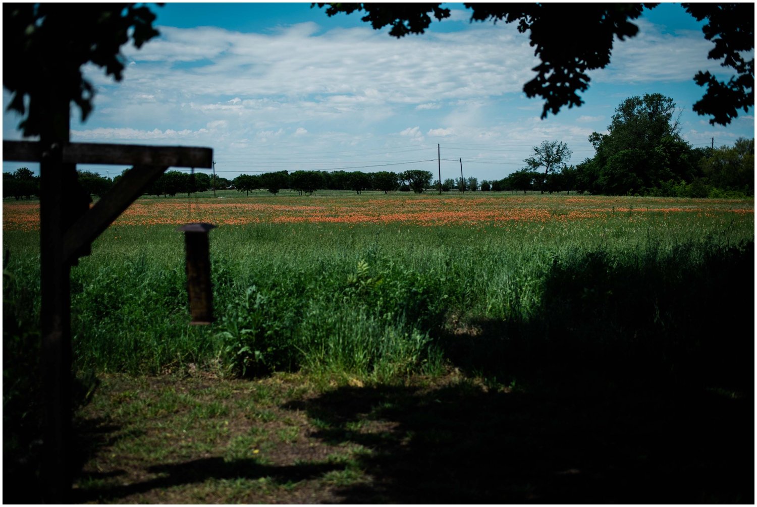 9-Willow-Creek-Waxahachie-wedding-photography.jpg