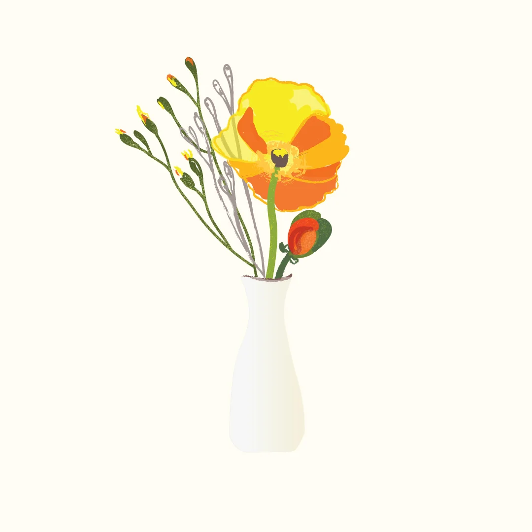 Vase Drawing Kari Livingston.jpg