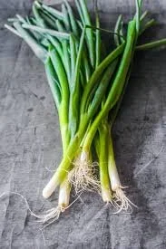 Spring Onion.jpg
