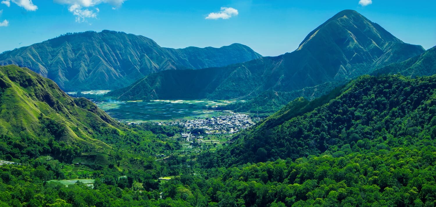 全台好森林運動