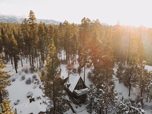 little black cabin : winter scenes