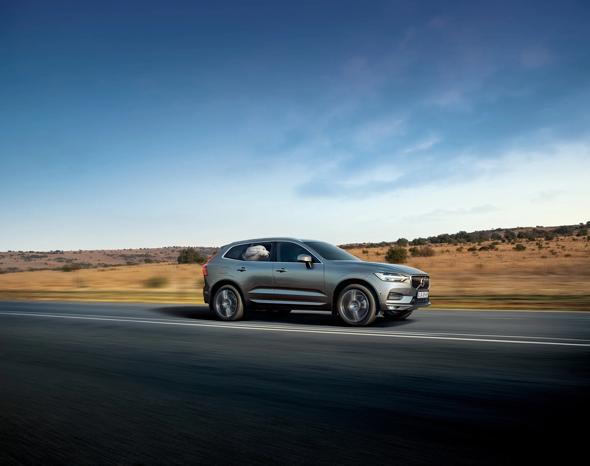 45326-FINAL-DULUX-VOLVO-C.jpg