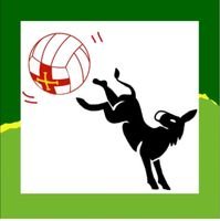 dodgeball logo.jpg