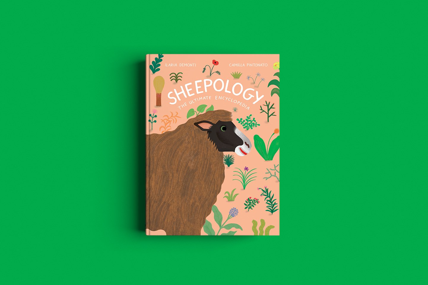 Sheepology-cover.jpg
