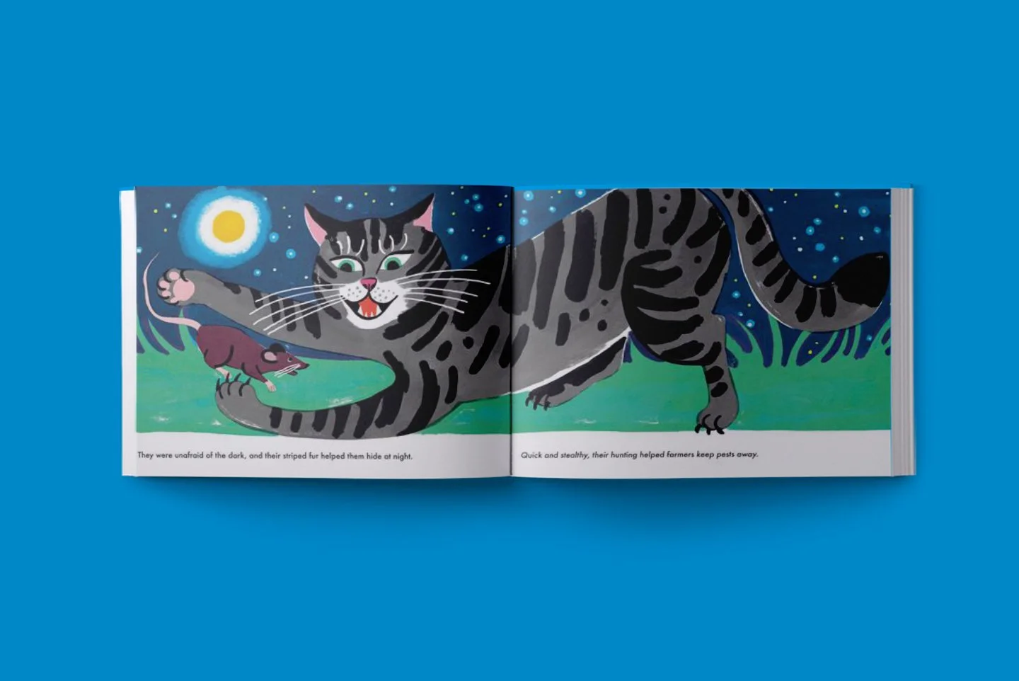Cats_And_Us04.jpg