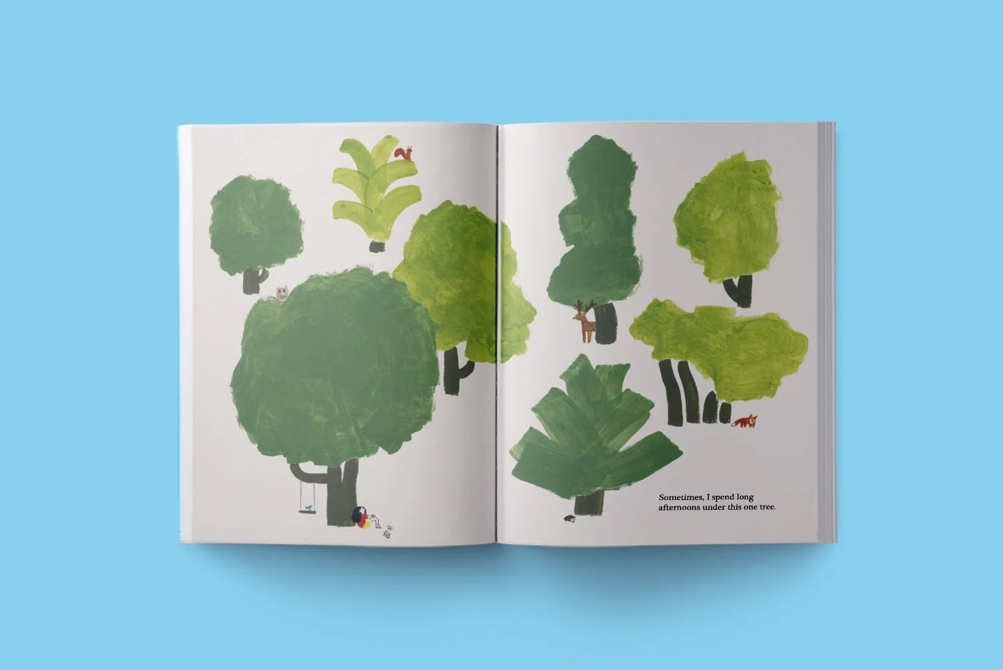 At first sight LIBRO APERTO_03.jpg