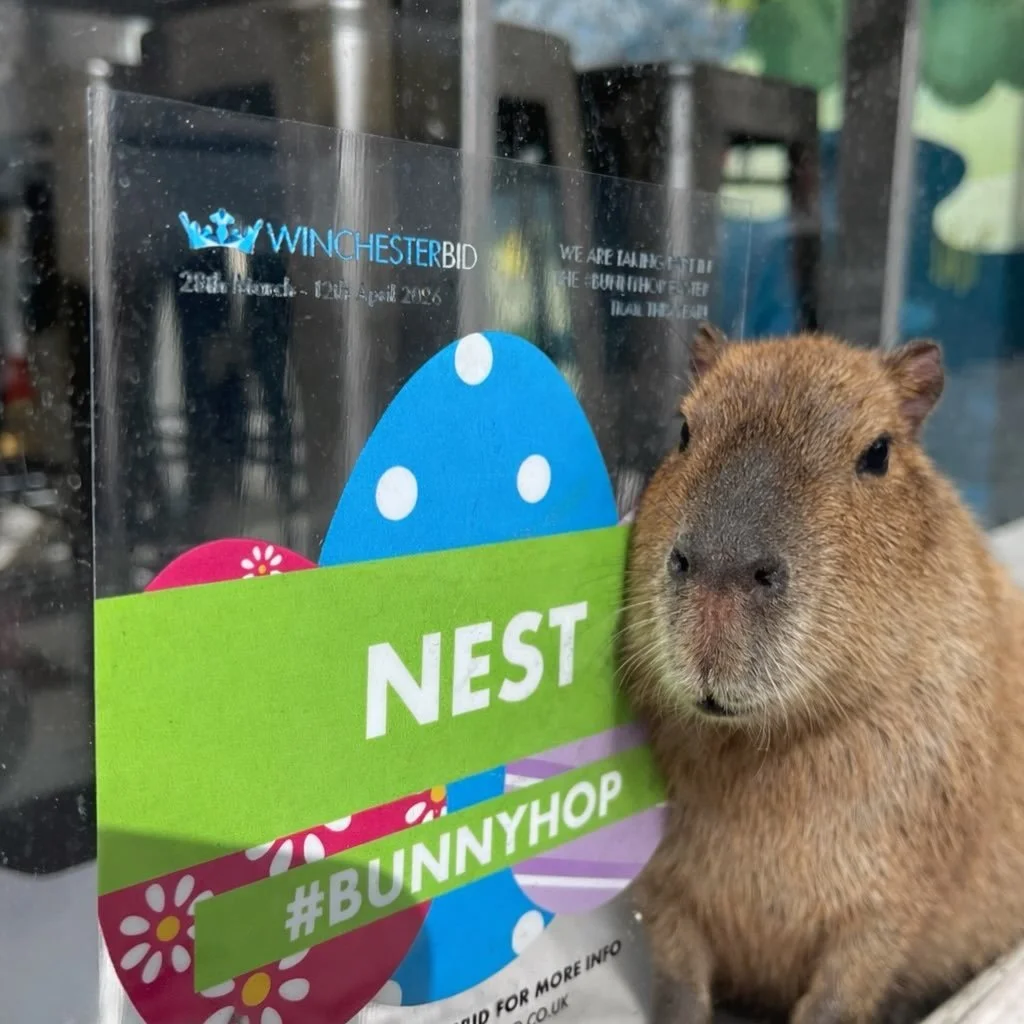 Today&rsquo;s big question&hellip;. Should you or should you not jump on a trend?

Whilst I&rsquo;m quite sad about poor Samba (the Capybara that escaped from @marwellzoo ) I am finding the posts of AI-Samba quite amusing. 

Sometimes, where appropri